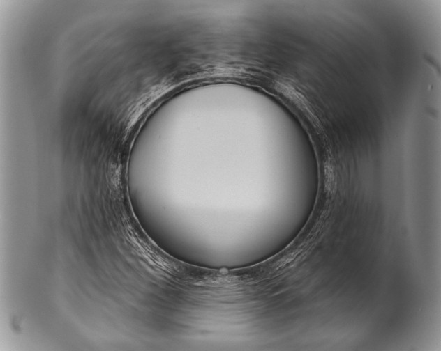 X0000100361260200806201556