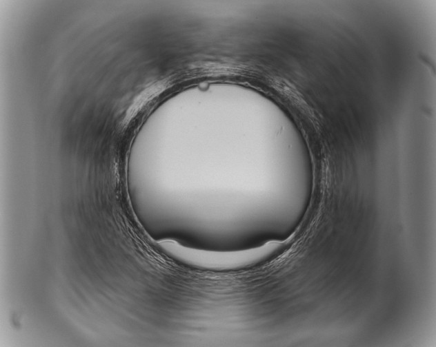 X0000100361261200806201556