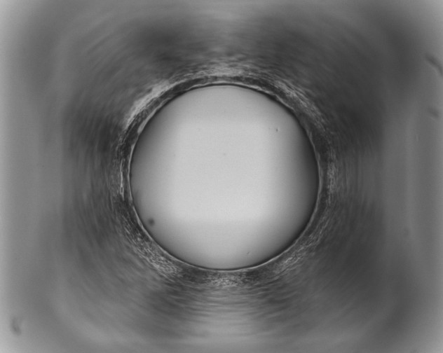 X0000100361262200806201556