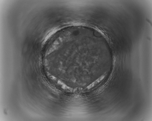 X0000100361263200806201556