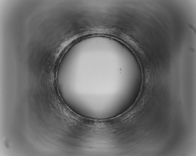 X0000100361264200806201556