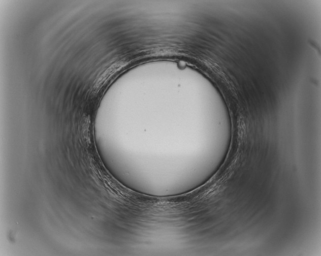 X0000100361265200806201556