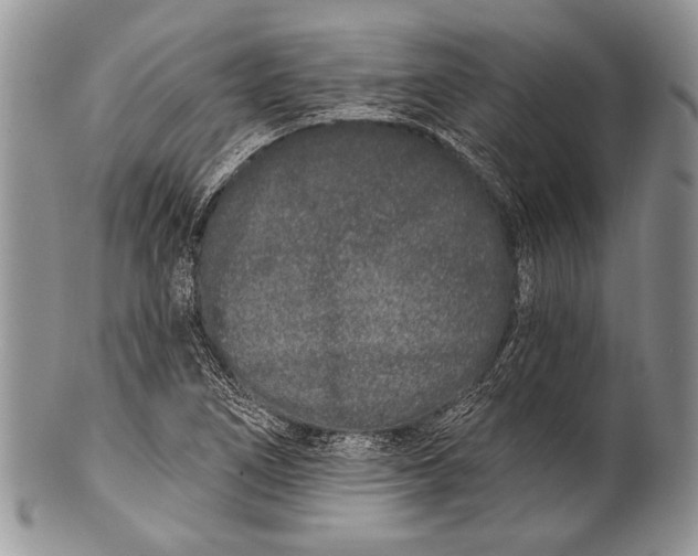 X0000100361266200806201556