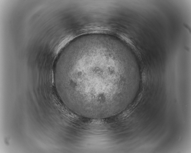 X0000100361267200806201556