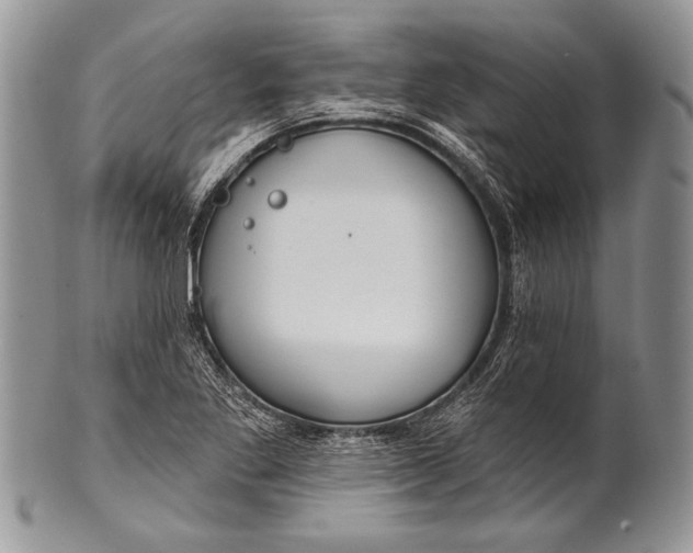 X0000100361269200806201556