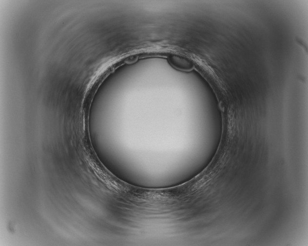 X0000100361270200806201556