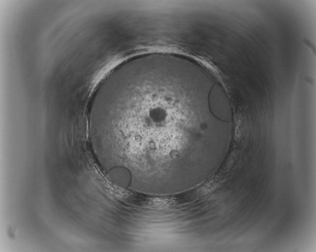 X0000100361271200806201556