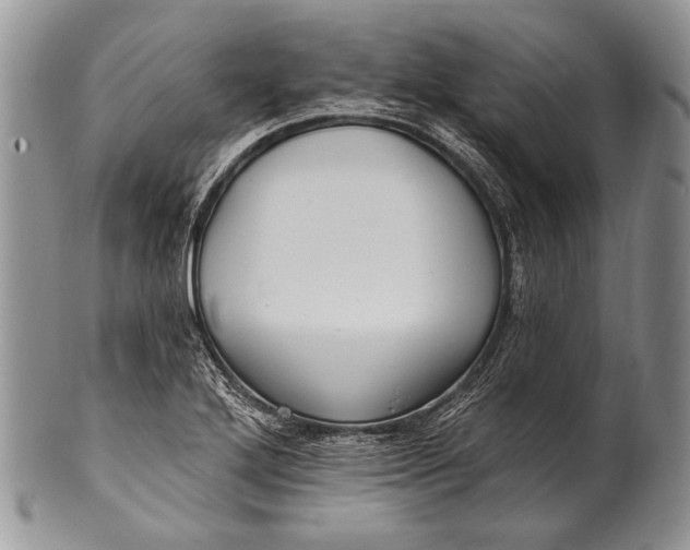 X0000100361272200806201556