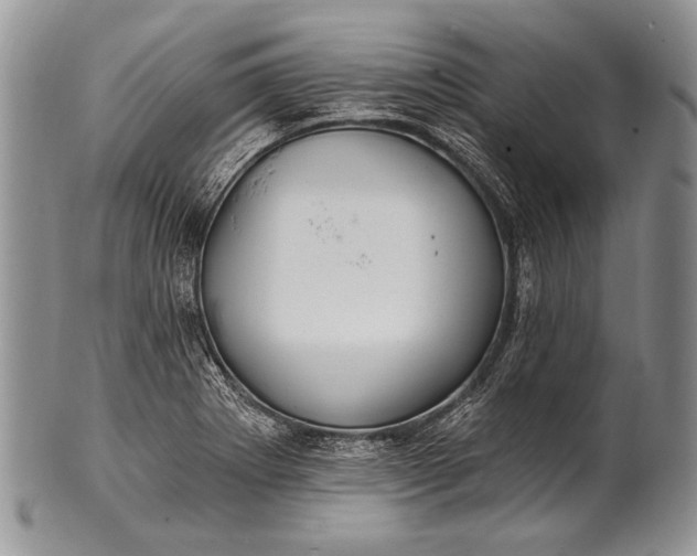 X0000100361273200806201556