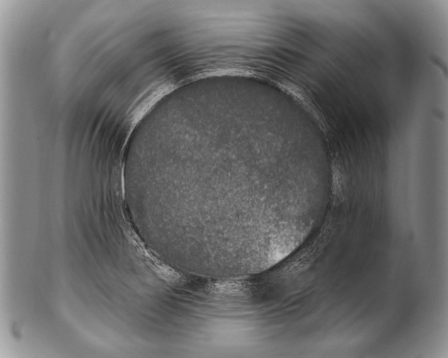 X0000100361274200806201556