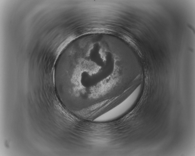 X0000100361275200806201556