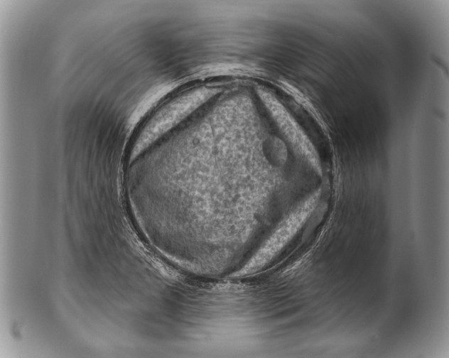 X0000100361277200806201556