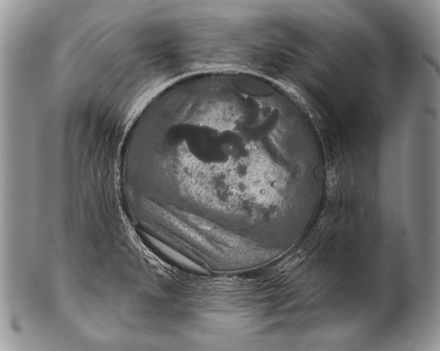 X0000100361279200806201556