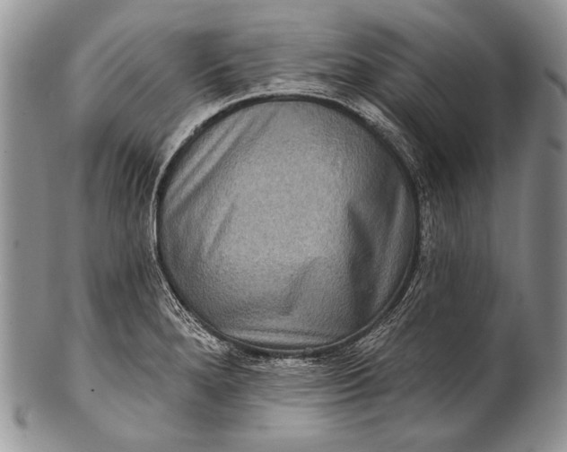 X0000100361280200806201556