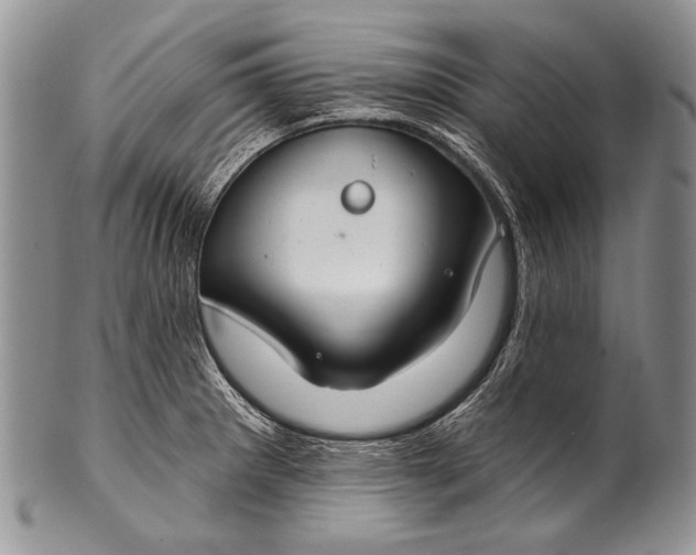 X0000100361281200806201556