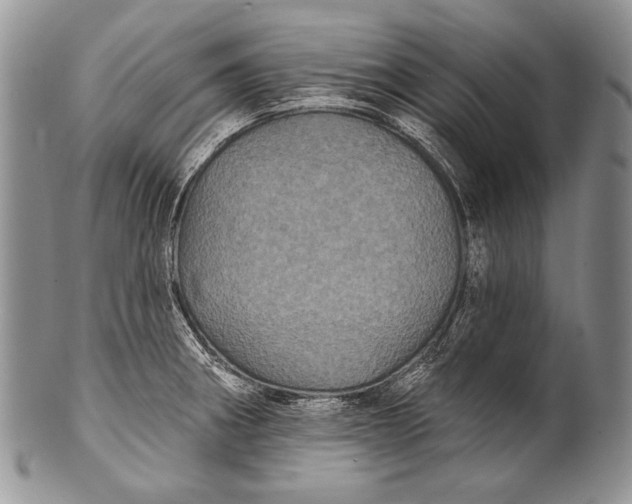 X0000100361282200806201556