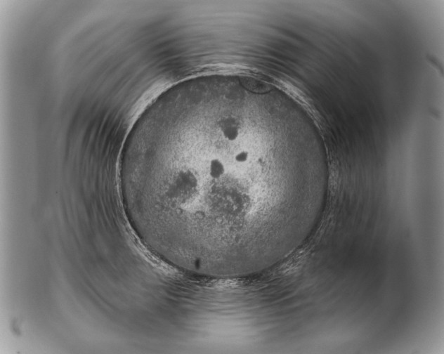 X0000100361283200806201556