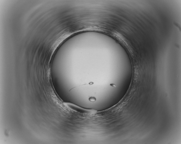 X0000100361284200806201555