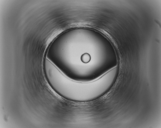 X0000100361285200806201555