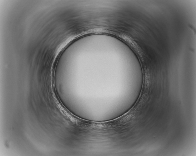 X0000100361286200806201555