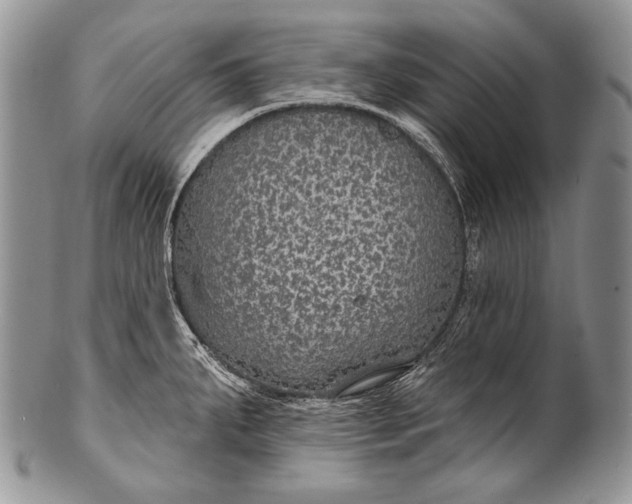 X0000100361287200806201555