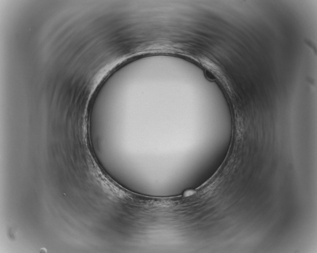 X0000100361288200806201555