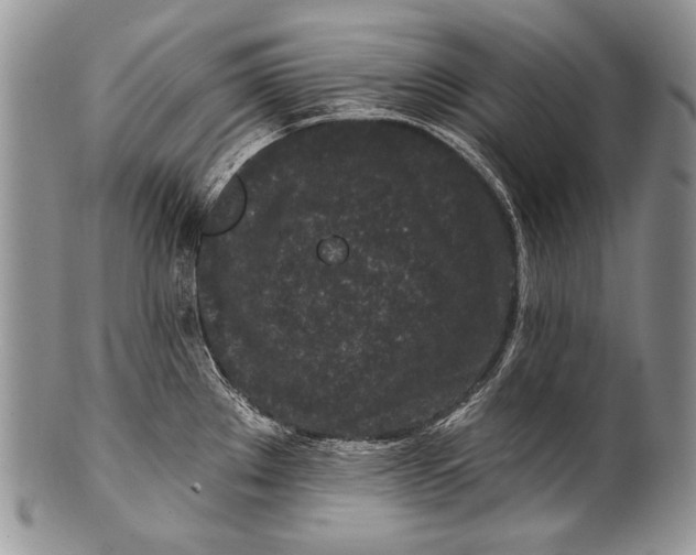 X0000100361289200806201555