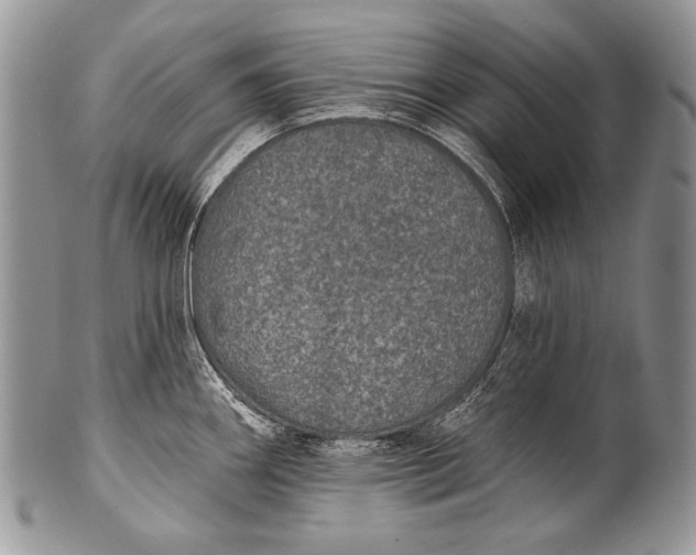 X0000100361290200806201555