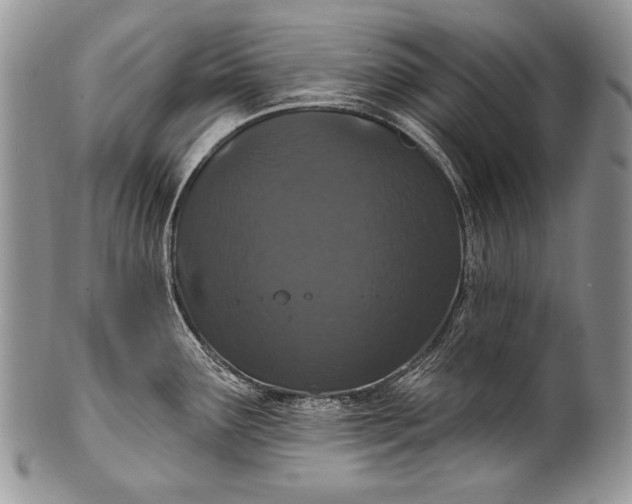 X0000100361291200806201555