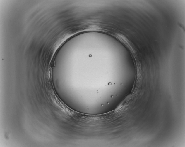 X0000100361292200806201555