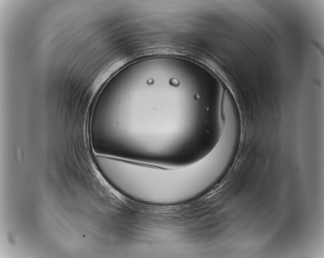 X0000100361293200806201555