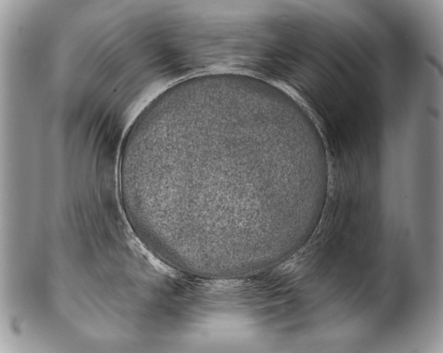 X0000100361294200806201555