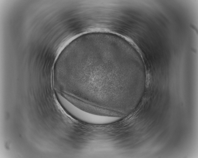 X0000100361295200806201555