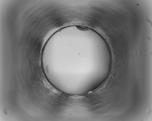 X0000100361296200806201555