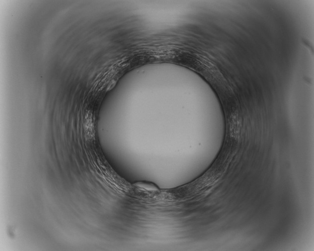 X0000100361298200806201555