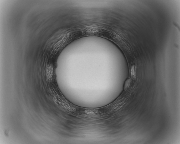 X0000100361299200806201555