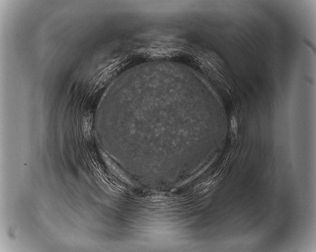 X0000100361300200806201555