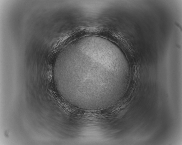 X0000100361301200806201555