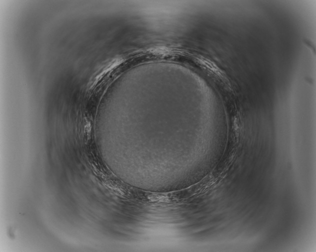 X0000100361302200806201555