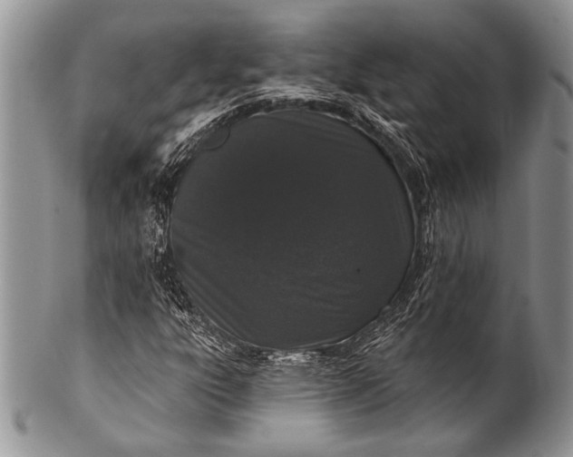 X0000100361303200806201555