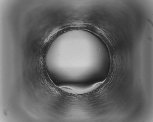 X0000100361304200806201555