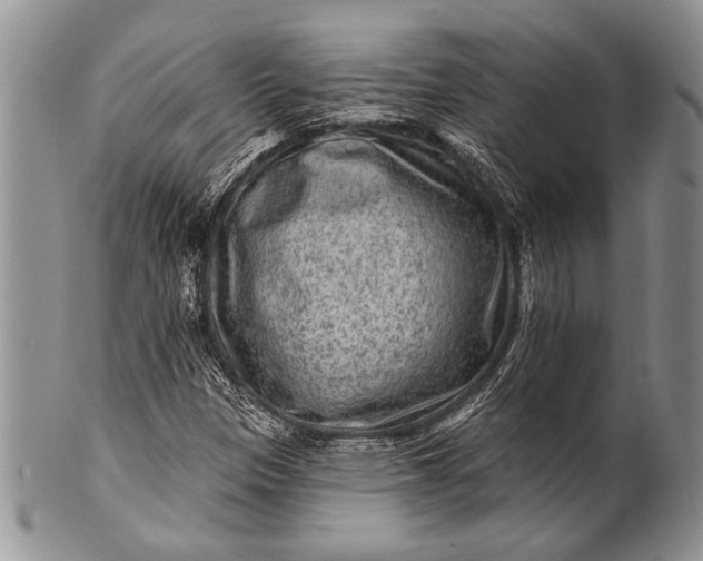 X0000100361305200806201555