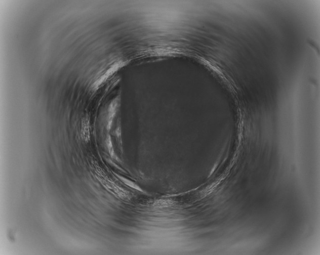 X0000100361306200806201555