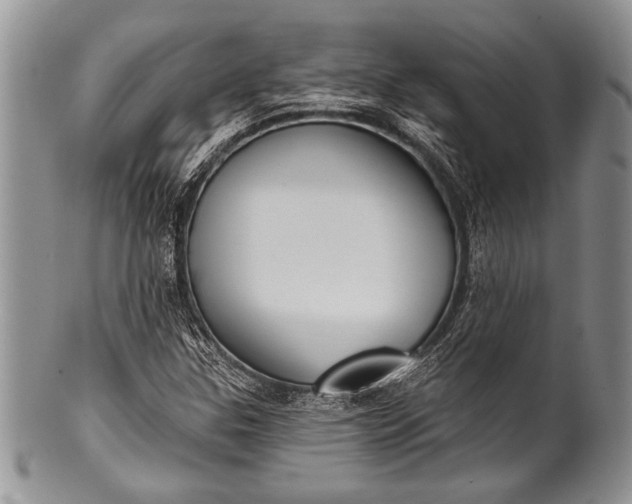 X0000100361307200806201555