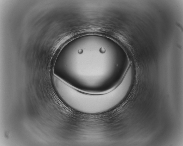 X0000100361308200806201555