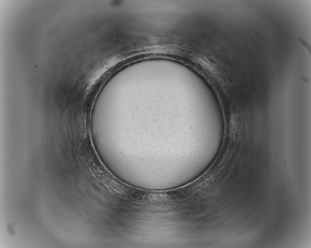 X0000100361310200806201555