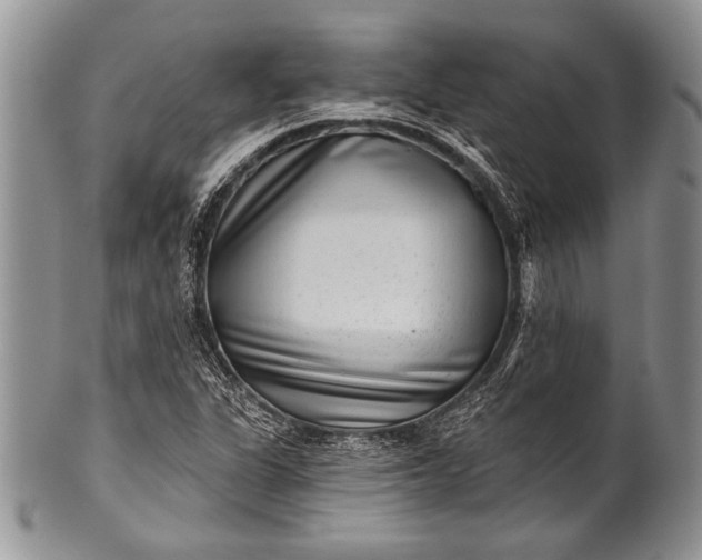 X0000100361311200806201555