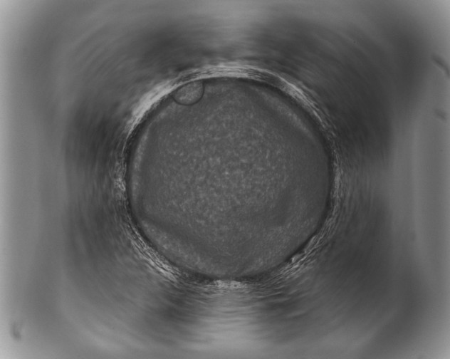 X0000100361312200806201555