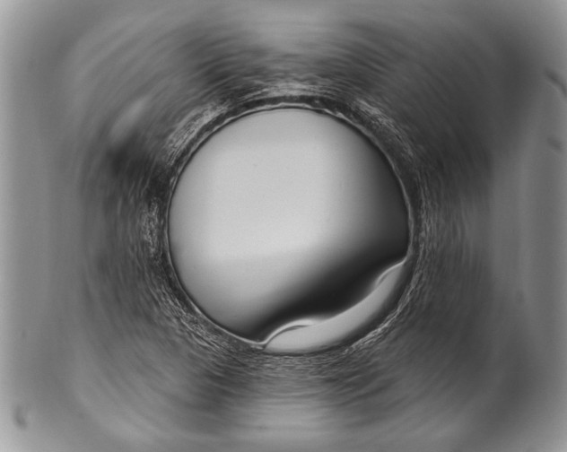 X0000100361313200806201555