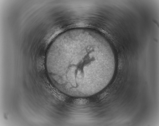 X0000100361314200806201555